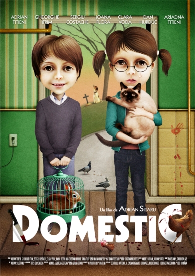 Poster oficial Domestic